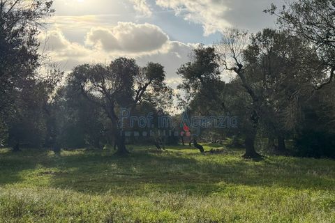 Landejendom i Carovigno, Brindisi, Carovigno - € 54.000 | Ref: 122834 - foto 16